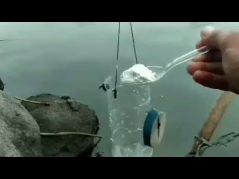 cara mancing ikan belanak pakai botol umpan tepung terigu