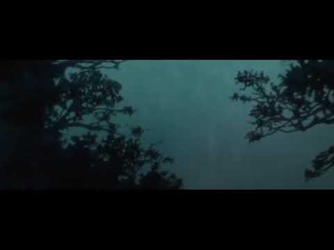 Kako - Βλέπεις λάθος εικόνα