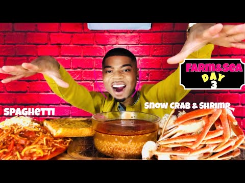 Snow Crab.Shrimp.Beefy Spaghetti|Mukbang|Day 3 Of Farm&Sea Challenge