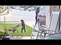 Video Captures Mother Saving Toddler Attacked By Dog