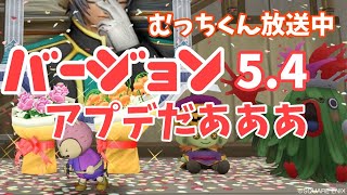 [ドラクエ10]バージョン5.4始まりましたね！魔剣士とスライム防衛軍やってみたい！（ねたばれあり）