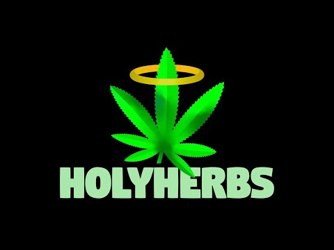 Chilli Tribe Records and JAX