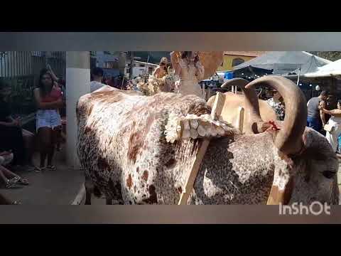 Festa do Milho em Cipotânia MG.2024