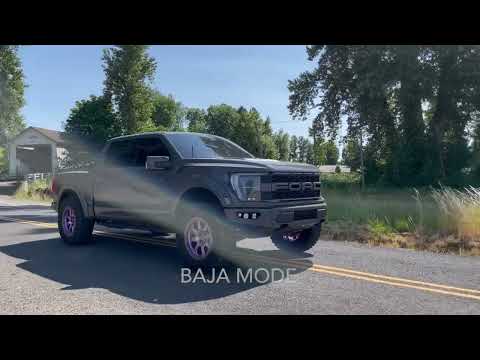 SPD 2021-2023 FORD GEN3 3.5L Raptor Alpha Catted Downpipes