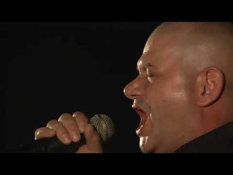 Banda Matusa 40 anos   The wall