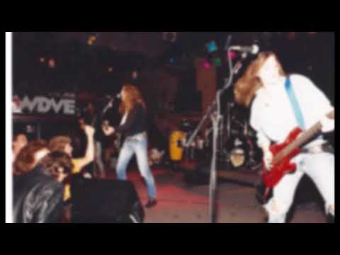 The Zippers ~ Tears Fallin'