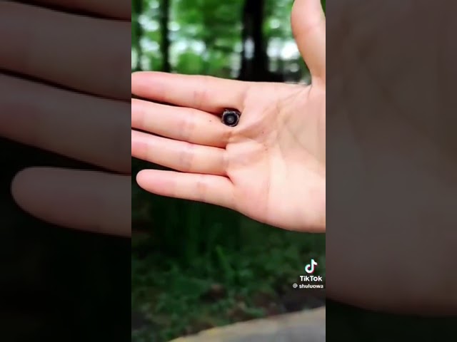 كاميرا مراقبة منزلية صغيرة - Small home security camera