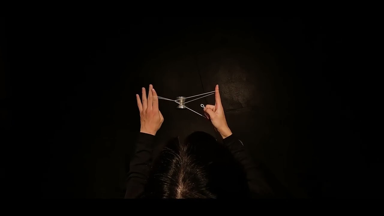 サンダーソニア