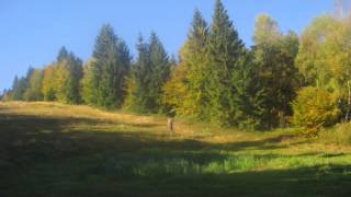 Marty Robbins - No tears Milady