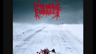 Ephemeral Embrace - Queen Of Winter