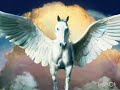 Columbia Tristar Home Entertainment Coming Soon To Theaters Logo 2002