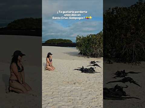 ¿Te gustaría perderte unos días en Santa Cruz, Galápagos? 👇 #turismoecuador #galapagosislands