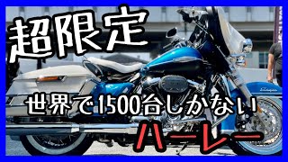 【超限定】エレクトラグライドリバイバル