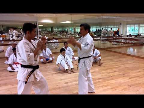Ashihara Karate: Stopping and Entering