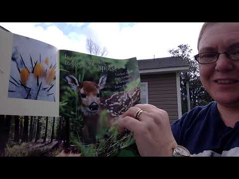 Everything Spring Read Aloud