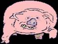 I AM A PIG 