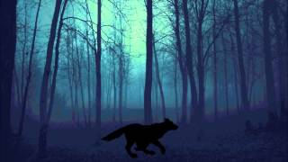 Heaven Is Hell - SayWeCanFly ~Lyric Video~