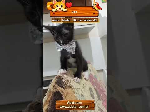 Vídeo de Leo