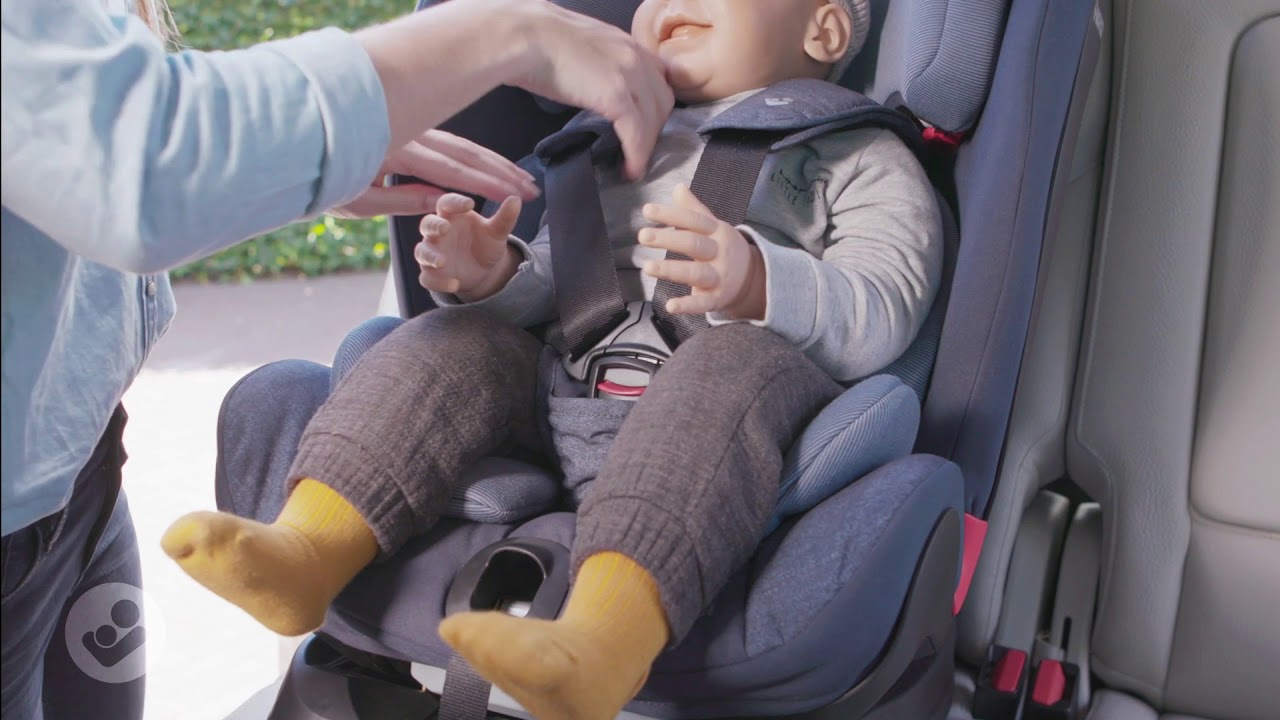 Maxi-Cosi | Toddler/Child Car