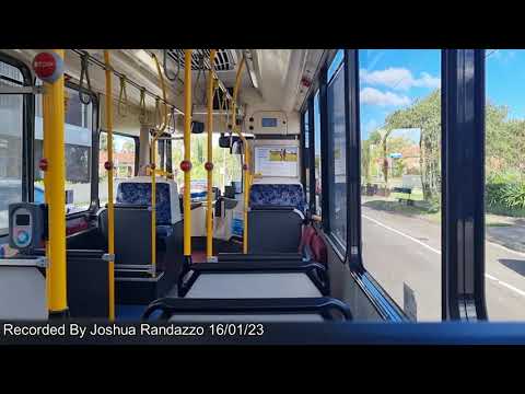 Transit Systems Sydney 2550 ST - Scania K280UB (ZF Ecomat)