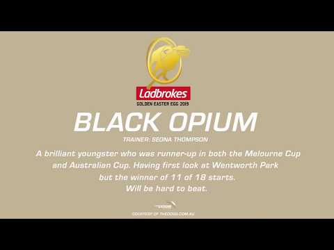 2019 Ladbrokes Golden Easter Egg - Black Opium