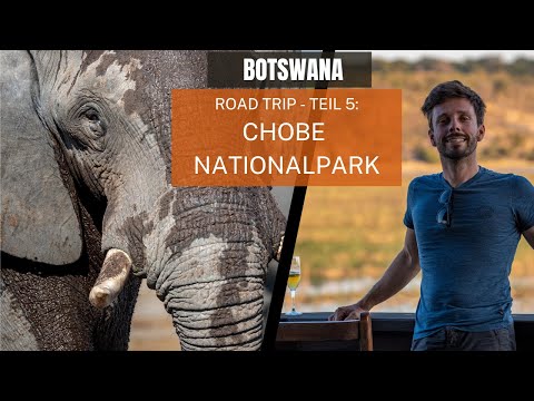 Chobe-Nationalpark / Botswana Roadtrip - Teil 5