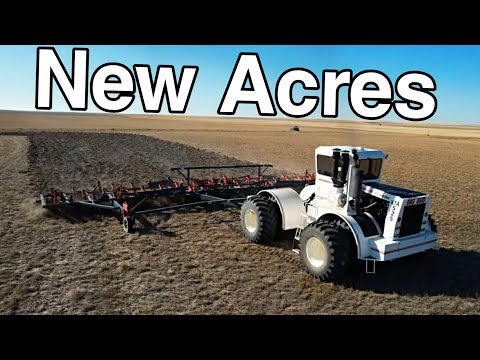 This Land Hasnt Been Farmed In 30+ Years! Time For BIG BUD Iron!