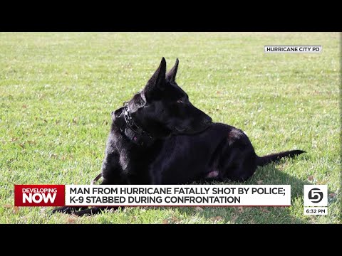 Man fatally shot, K-9 stabbed after pursuit, crash