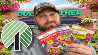 Dollar Tree Gardening Items for Spring 2026!