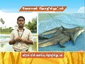 Pon Vilaiyum Bhoomi 29 01 2021 Agricultural Technology