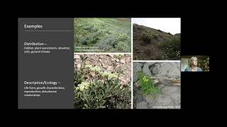 Biology, Ecology, and use of Forb Species - Corey Gucker and Genie MontBlanc