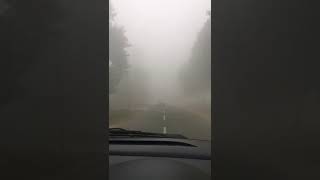 Smog/Fog Drive Safe!!!