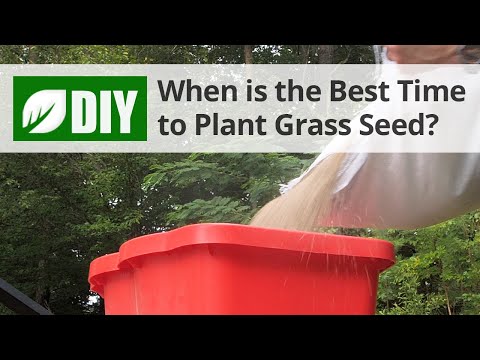  What is the Best Time to Plant Grass Seed? - Fall Lawn Tips Video 