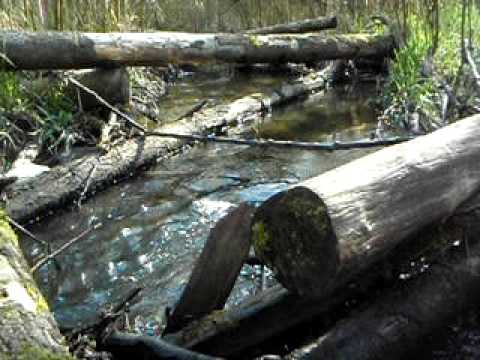 3 16 09 Flowing West Milton I