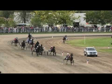 Subotica 13.10.2024, Interconnection & Novica Đorđević