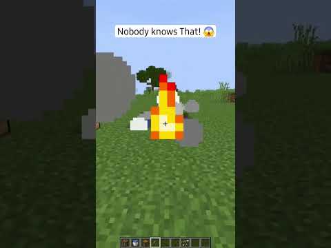 EPIC Minecraft End: You won't believe what happens!