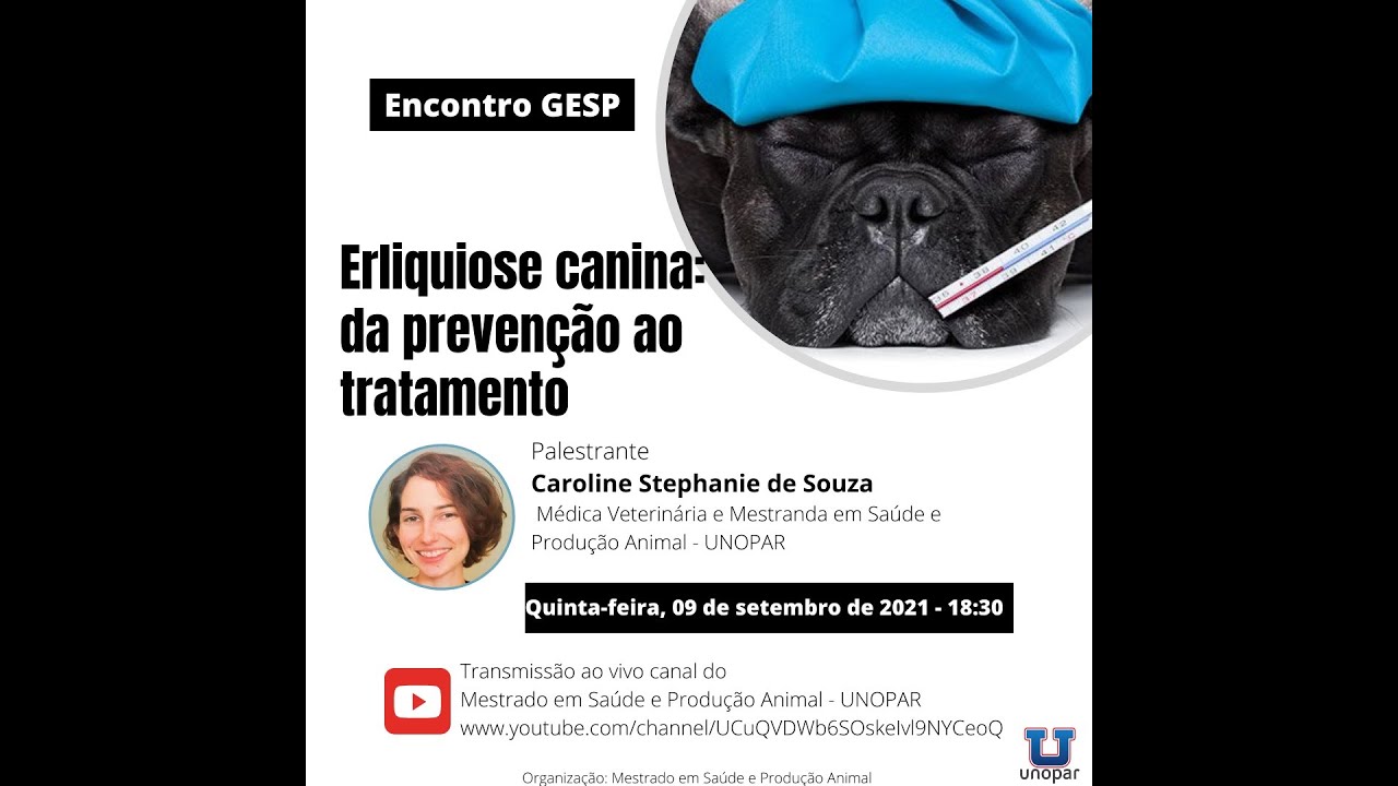 Palestra ERLIQUIOSE CANINA