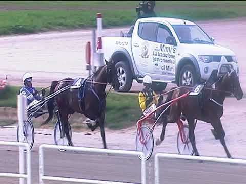 Trotto 16/04/2019 - 5ª corsa