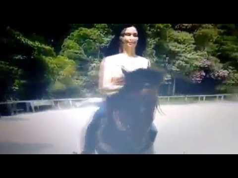 LUSITANO PRETO (PSL) A VENDA, ADESTRADO, CHIPADO E REGISTRADO