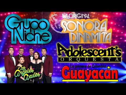 Grupo Niche, Los Ángeles Azules, Orquesta Guayacán, Adolescent's Orquesta, Fruko, Sonora Dinamita
