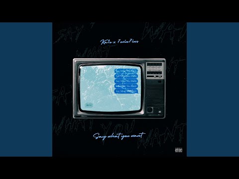 Say What You Want (feat. 7evin7ins)