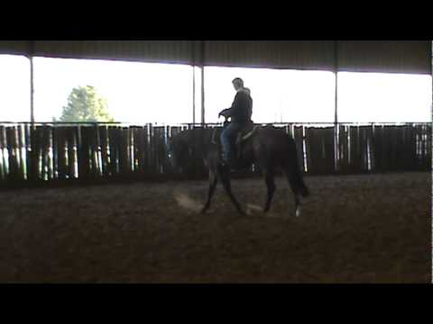 Extra Radical (Joey) Dec 2011