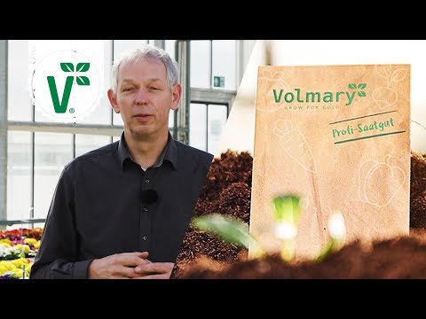 Wie sollte man Saatgut richtig lagern? Tipps zur Saatgut-Lagerung - Volkers Gartenwissen