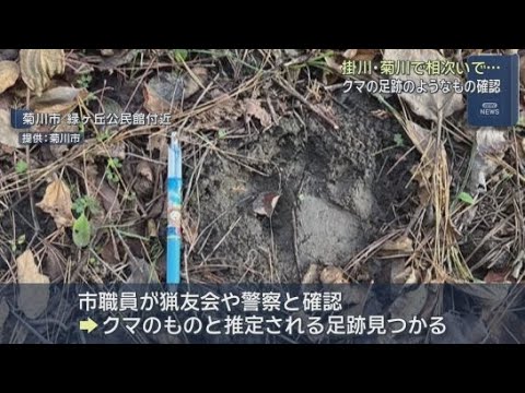 YouTube Video クマの目撃情報が相次ぎ市や警察が無線やホームページで注意を呼び掛ける　静岡・菊川市と掛川市