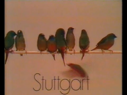 ARD 16.08.1981 - Südwestfunk Stuttgart "Lückenfüller (Vögel)" und Ansage zu "Das Ultimatum"