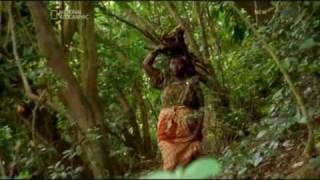 Feral Children part 1