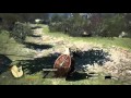 Gameplay video of Dragon's Dogma: Dark Arisen  PC