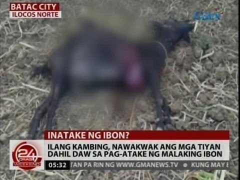 Nabawasan ako ng timbang na may tulong ng isang fractional kapangyarihan Dog umiinom ng maraming tubig at marami thinner
