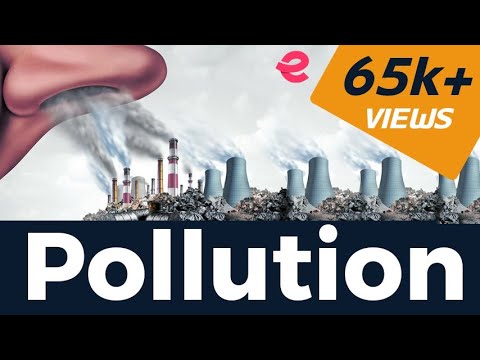 What are Different types of Pollution | Environmental Issues | Ecology | Extra class NEET