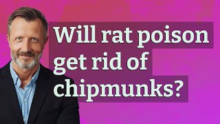 Will rat poison get rid of chipmunks?